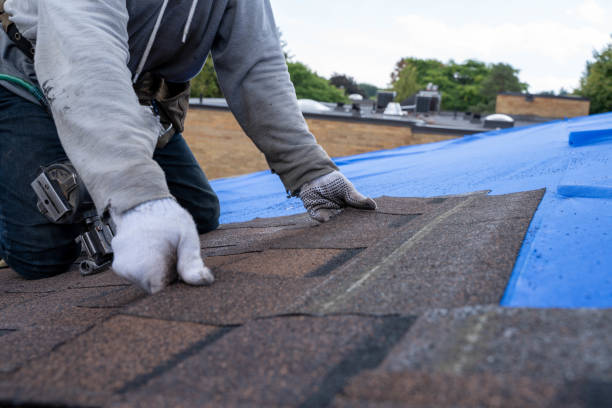 Best Roof Maintenance Services  in Houghton Lake, MI